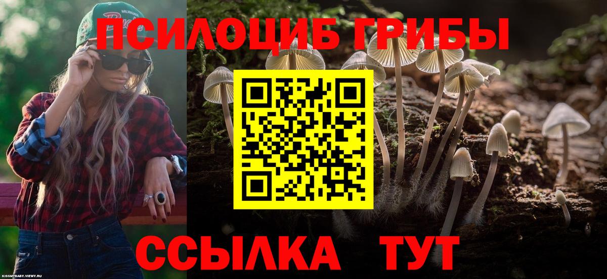 Галлюциногенные грибы ЛСД  Вход с VPN  Псилоцибиновые грибы ЛСД  Черкесск 